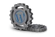 Wordpress Technical